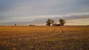 The Imperfect Harvest