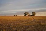 The Imperfect Harvest